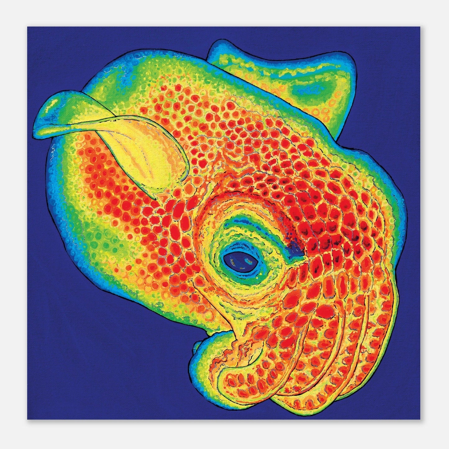 Bubbacutie123 PaintsPrint MaterialBobtail Squid Premium Matte Printdescription