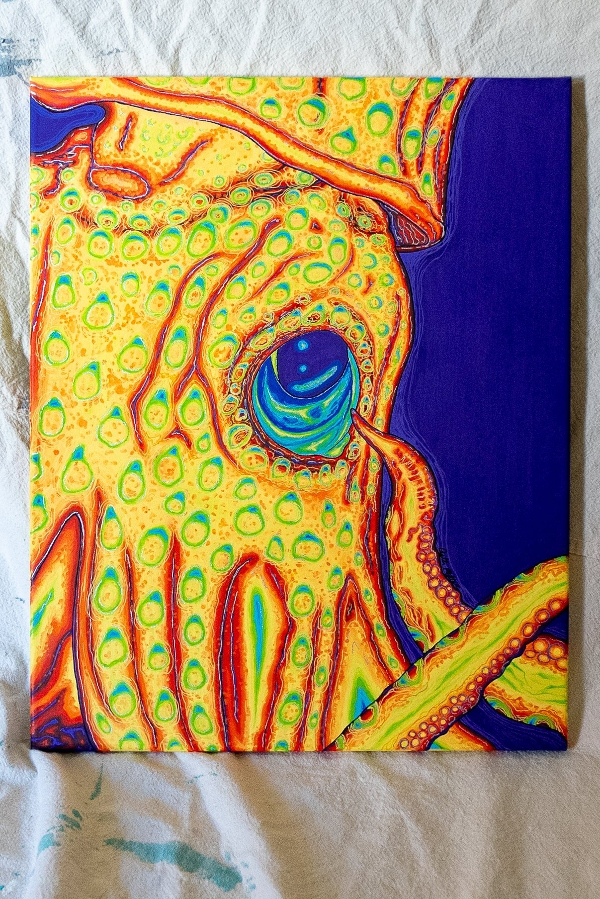 Bubbacutie123 PaintsOriginal Artworksquidydescription