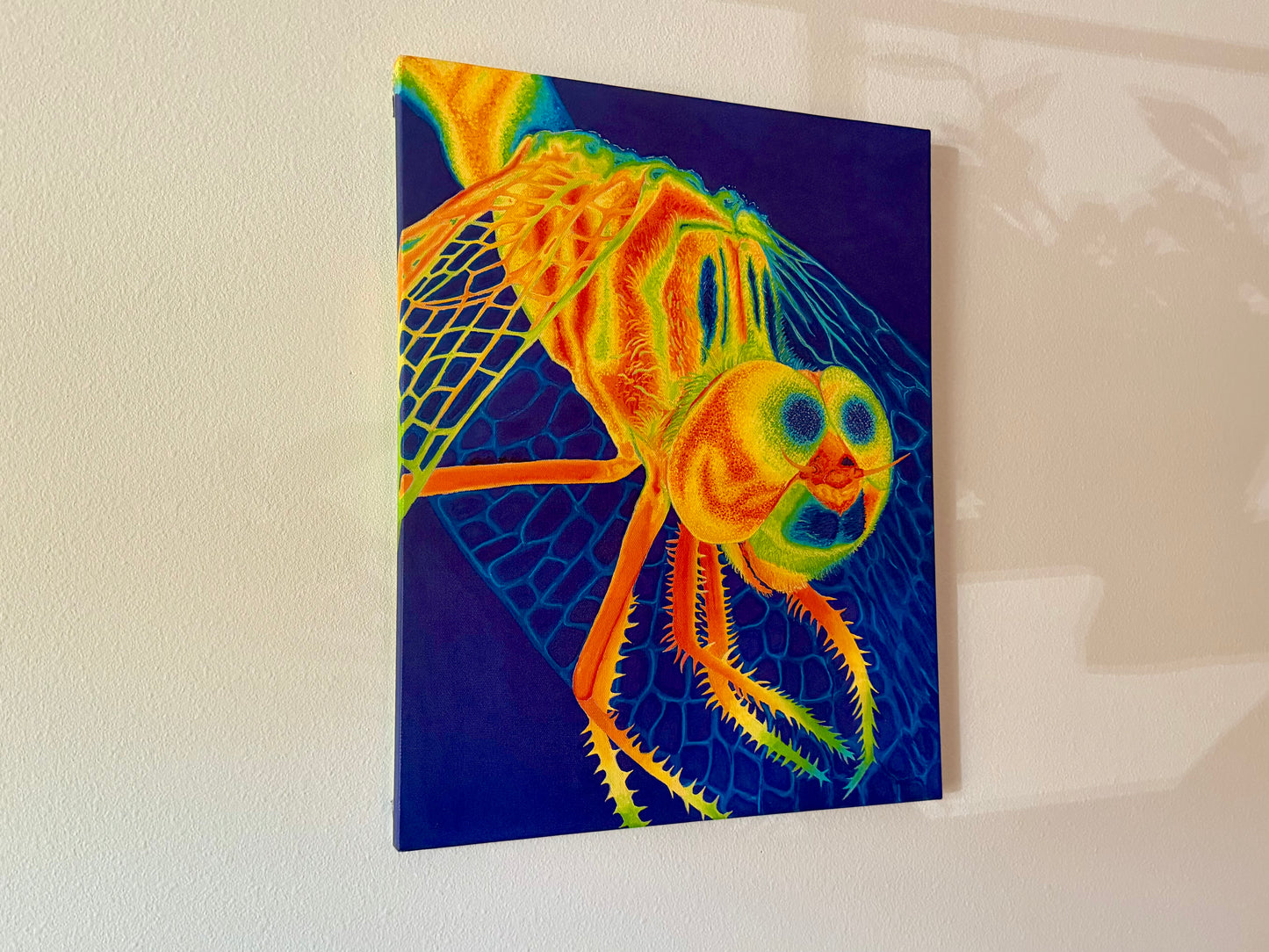 Dragonfly