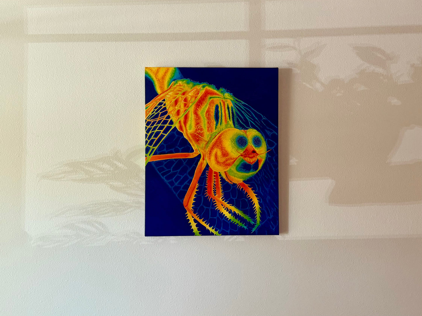 Dragonfly